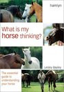 What is My Horse Thinking The Essential Guide to Understanding Your Horse