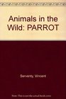 Animals in the Wild PARROT