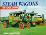Steam Wagons in Colour