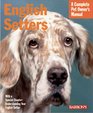 English Setters Everything About Purchase Care Nutrition and Behavior