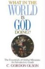 What in the World Is God Doing: The Essentials of Global Missions: An Introductory Guide