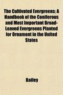 The Cultivated Evergreens A Handbook of the Coniferous and Most Important BroadLeaved Evergreens Planted for Ornament in the United States