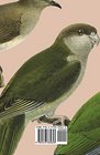 Argentine Ornithology Volume II   A Descriptive Catalogue of the Birds of the Argentine Republic