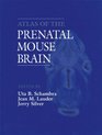 Atlas of the Prenatal Mouse Brain