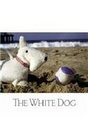 The White Dog