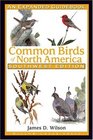 Common Birds Of North America Southwest Edition A Guidebook
