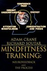 Mindfitness Training Neurofeedback and the Process
