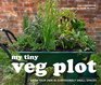 My Tiny Veg Plot Grow Your Own in Surprisingly Small Places