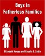 Boys In Fatherless Families