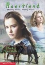 Thicker Than Water (Heartland, Bk 8)