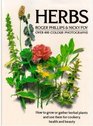 Herbs How to Grow or Gather Herbal Plants and Use Them for Cookery Health and Beauty