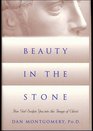 Beauty in the Stone How God Sculpts You into the Image of Christ