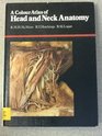 Colour Atlas of Head and Neck Anatomy