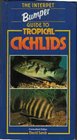 A Popular Guide to Tropical Cichlids