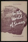 In the World of Sumer An Autobiography