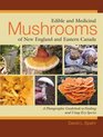 Edible and Medicinal Mushrooms of New England and Eastern Canada