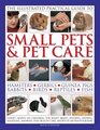 The Illustrated Practical Guide to Small Pets  Pet Care Hamsters Gerbils Guinea Pigs Rabbits Birds Reptiles Fish