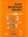 Plant Molecular Biology