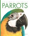 Amazing Animals Parrots