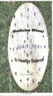 Medicine Wheel to Healthy Balance  Vision Quest