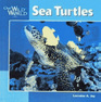 Sea Turtles