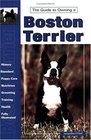 Guide to Owning a Boston Terrier