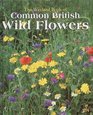 Wayland Book of Common British Wild Flowers A Photographic Guide