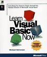 Learn Visual Basic Now Everything You Need to Teach Yourself the Newest Version of Microsoft Visual Basic