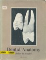 Dental Anatomy Its Correlation With Dental Health Service