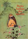 Petits hakus des saisons