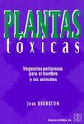 Plantas Toxicas  Vegetales Peligrosos Para El Hom