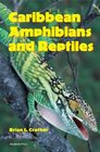 Caribbean Amphibians and Reptiles