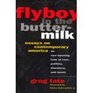 Flyboy in the Buttermilk Essays on Contemporary America