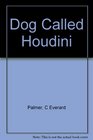Dog Called Houdini