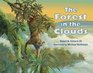 The Forest in the Clouds