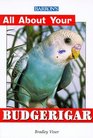 All About Your Budgerigar