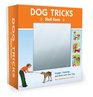 101 Dog Tricks Kit Shell Game Engage Challenge and Bond with Your Dog