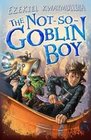 Notsogoblin Boy a Novel