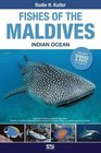 Fishes of the Maldives Indian Ocean