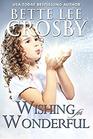 Wishing for Wonderful The Serendipity Series  Book 3