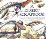 A Desert Scrapbook Dawn to Dusk in the Sonoran Desert