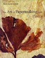 The Art of Papermaking with Plants