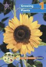 New Star Science Year 1/P2  Growing Plants Big Book