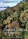 Danum Valley The Rain Forest