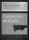Lameness In Cattle