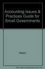Accounting Issues  Practices Guide for Small Governments
