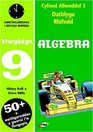 CA3 Datblygu Rhifedd Blwyddyn 9 Algebra Blwyddyn 9