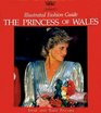 Debrett's Illustrated Fashion Guide The Princess of Wales