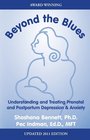 Beyond the Blues Understanding and Treating Prenatal and Postpartum Depression  Anxiety