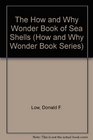 The How and Why Wonder Book of Sea Shells